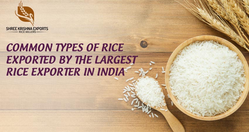 Largest Rice Exporter in India