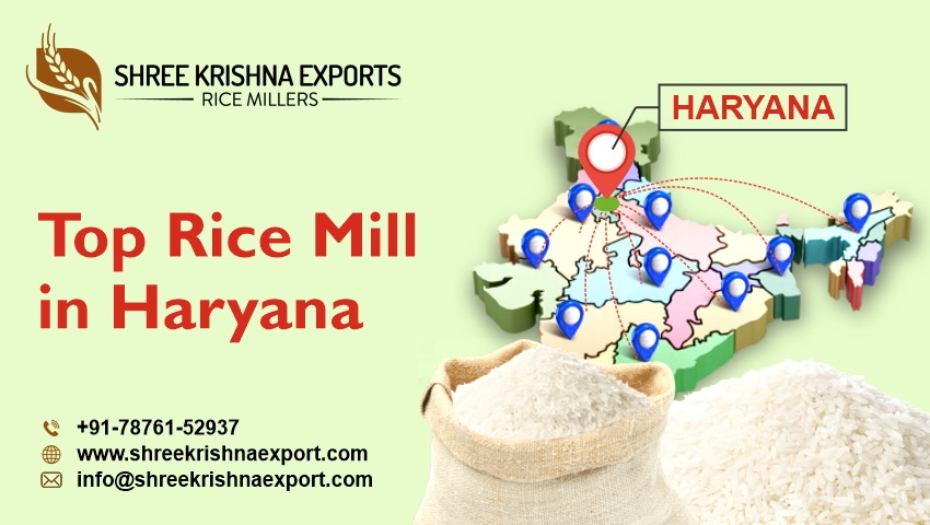 Top Rice Mill Haryana