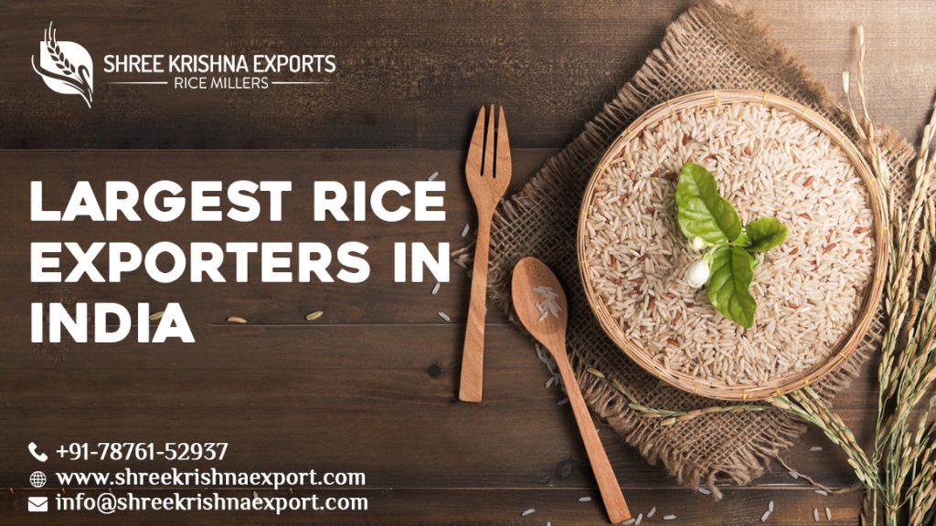 largest rice exporters