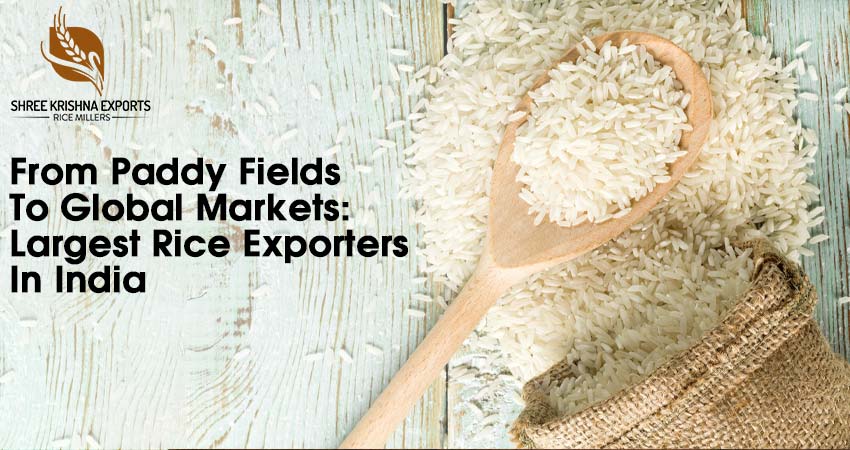 Largest Rice Exporters In India