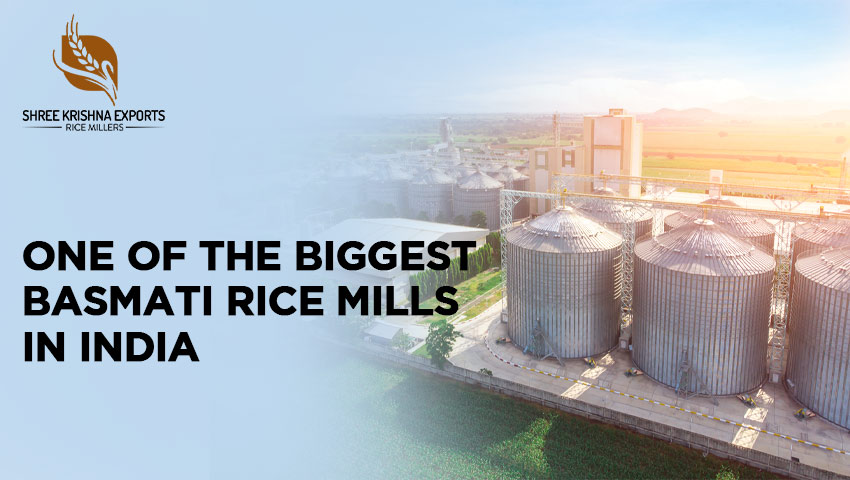 Biggest Basmati Rice Mills In India