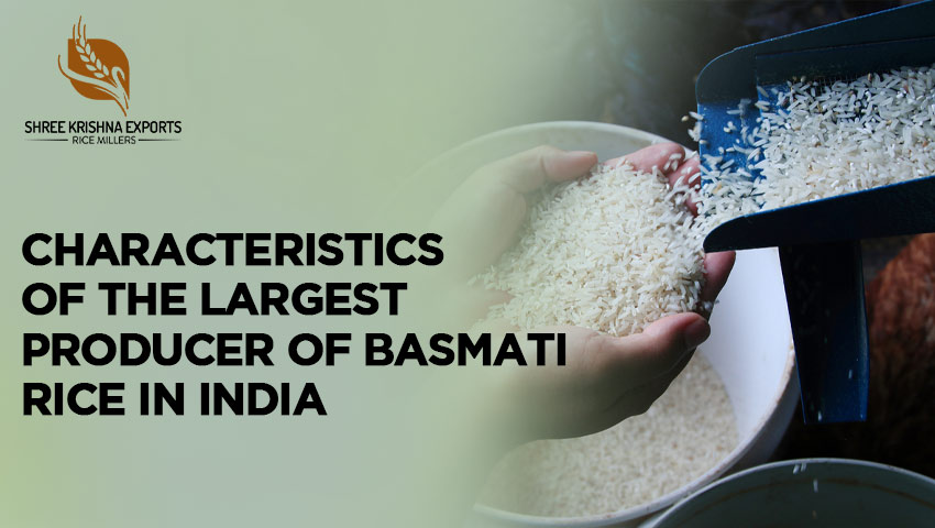 Largest Producer Of Basmati Rice In India